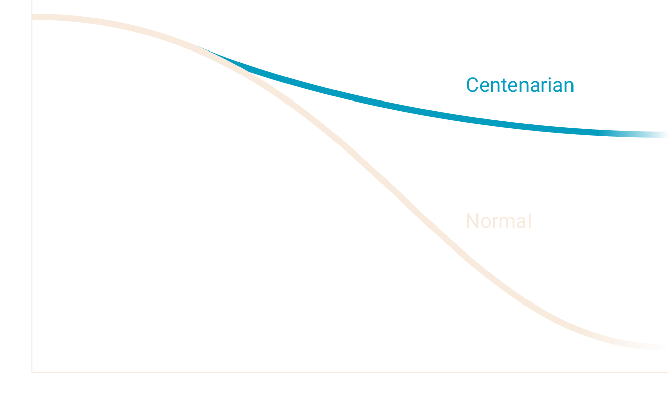 Graph showing a centenarian's spermidine levels remaining high in comparison to a normal person's spermidine levels declining with age.