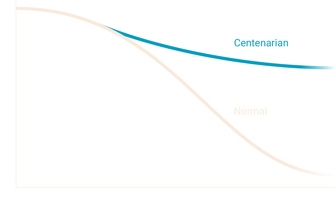 Graph showing a centenarian's spermidine levels remaining high in comparison to a normal person's spermidine levels declining with age.